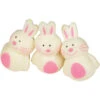 Squishy Easter Bunnies Toy (1 Dozen) 1 Squishy Easter Bunnies Toy (1 Dozen) -Carnivals Source Toys 4648 101