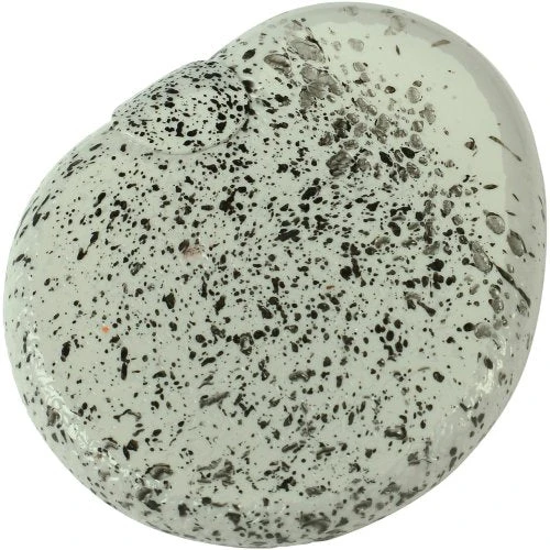 Splatt Rocks Toy (One Dozen) Splatt Rocks Toy (One Dozen) -Carnivals Source Toys gs616 003 500