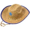Child Costume Cowboy Hat, Assorted Red Or Blue