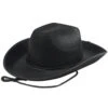Costume Cowboy Hat - Black