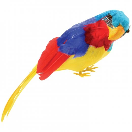 Feather Parrot Toy Feather Parrot Toy -Carnivals Source Toys hl182 001