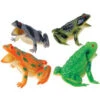 Large Squeaking Frogs Toy (1 Dozen) -Carnivals Source Toys us toy tmp images catalog products 2 4 24016