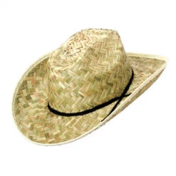 Barn Dance Costume Hat