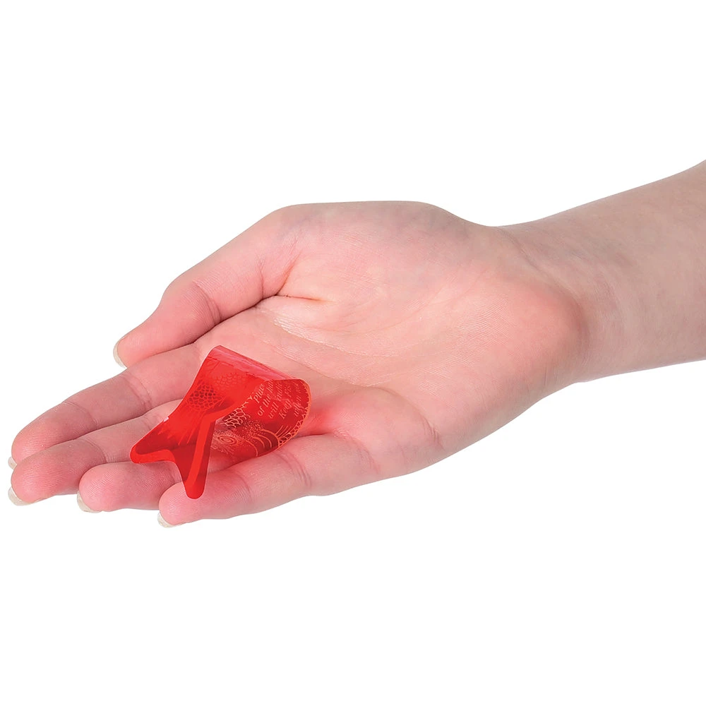 Large Fortune Fish Novelty Toys (72 Per Pack) Large Fortune Fish Novelty Toys (72 Per Pack) -Carnivals Source Toys vl79 308