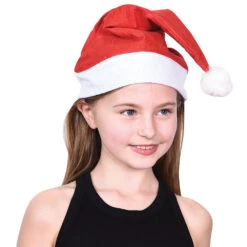 Economy Santa Hats Costume - Adult Size (one Dozen) -Carnivals Source Toys xm301 020